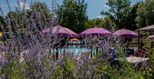 Camping les Trois Lacs