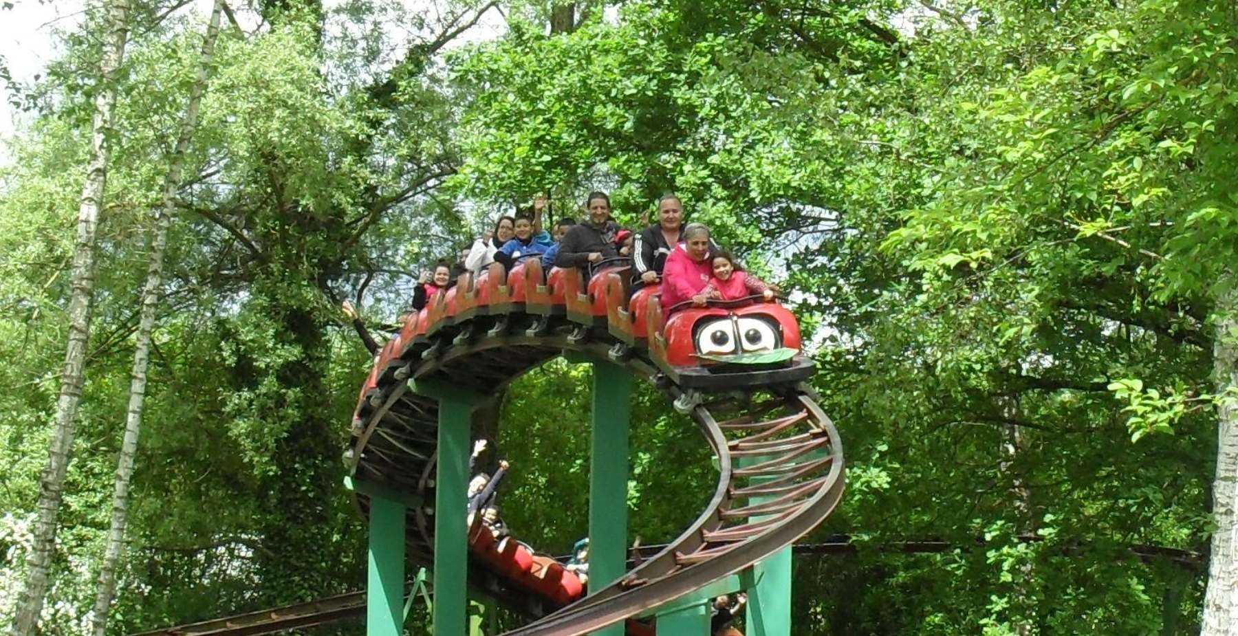 attraction coccinelle