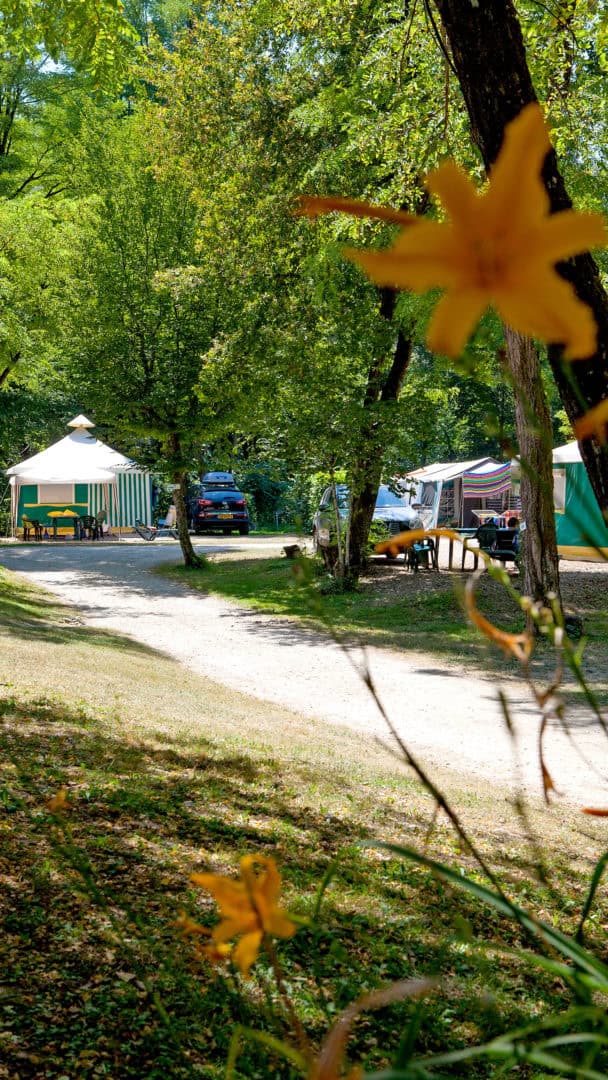 233 galerie vue tente camping les 3 lacs